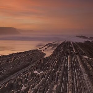 4. Adhésion institutionnelle